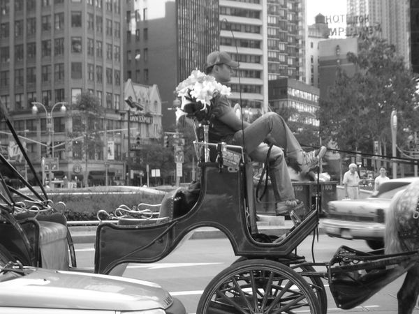 carrozza.jpg