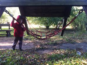 IMG_0500
