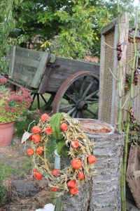 IMG_5859